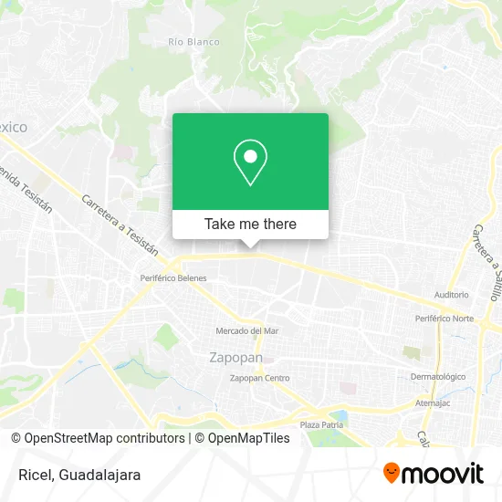 Ricel map