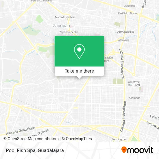 Pool Fish Spa map