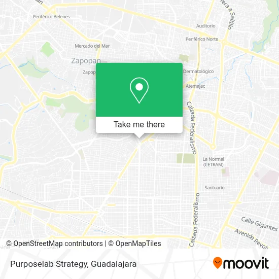 Purposelab Strategy map