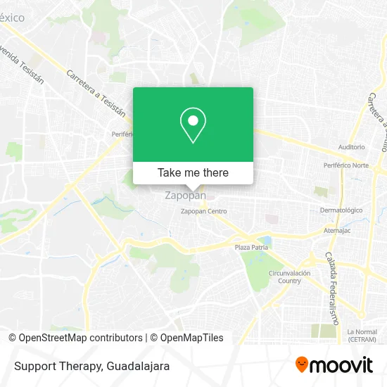 Support Therapy map