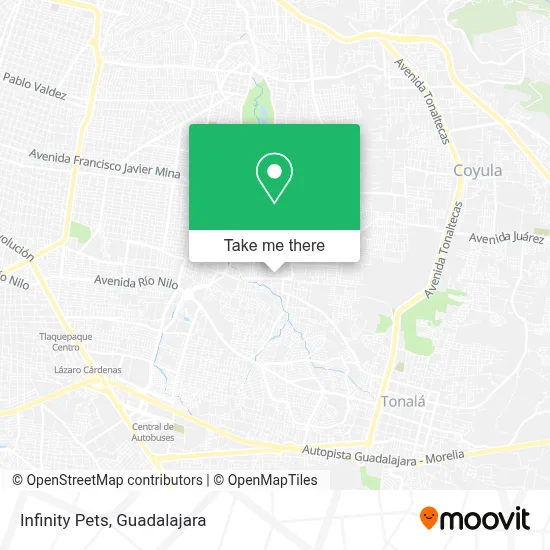 Infinity Pets map