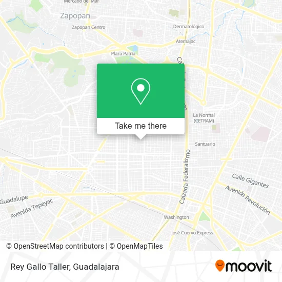 Rey Gallo Taller map