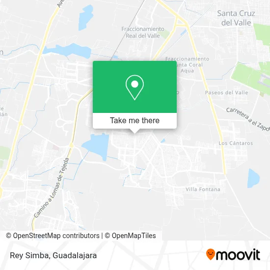 Rey Simba map