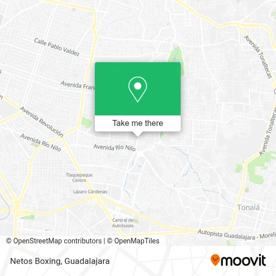 Netos Boxing map