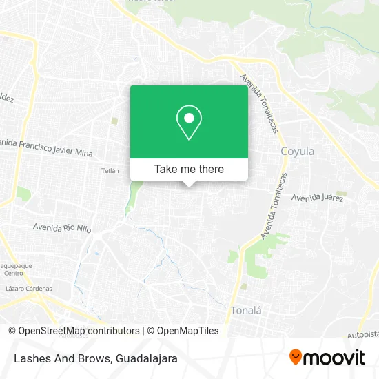 Lashes And Brows map