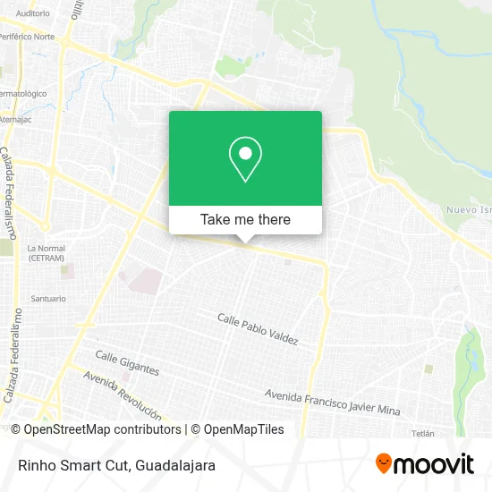 Rinho Smart Cut map