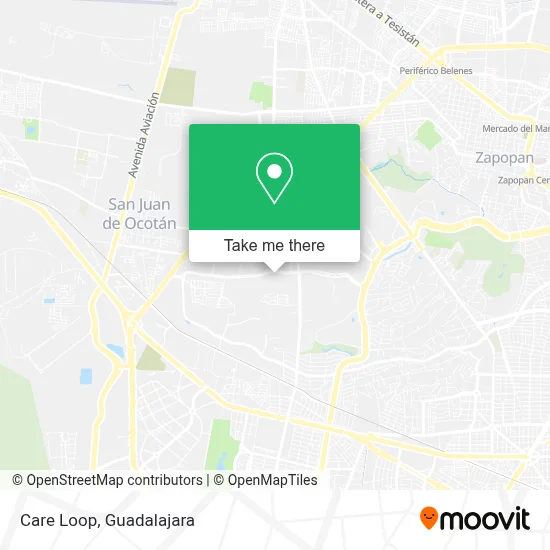 Care Loop map