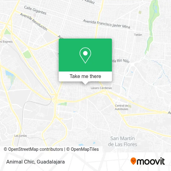 Animal Chic map
