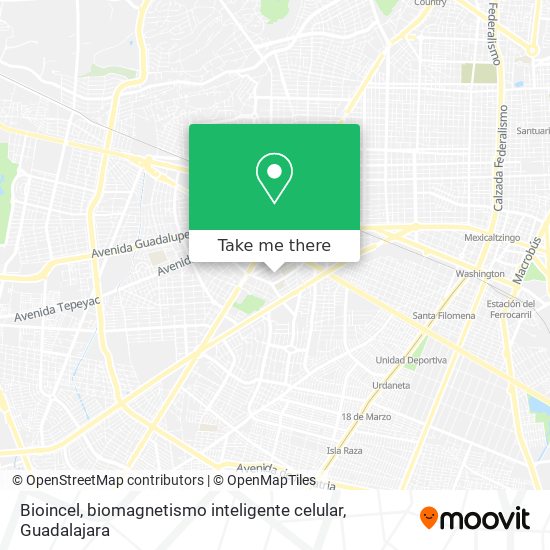 Mapa de Bioincel, biomagnetismo inteligente celular