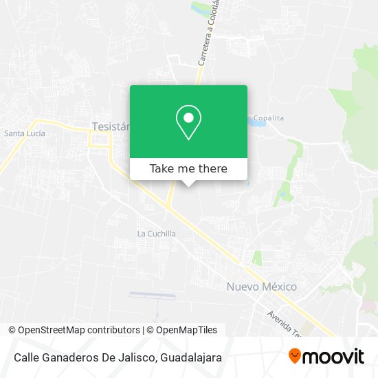Calle Ganaderos De Jalisco map