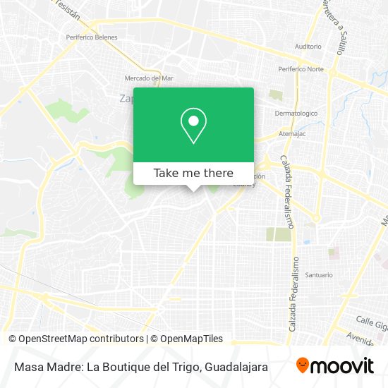 Mapa de Masa Madre: La Boutique del Trigo