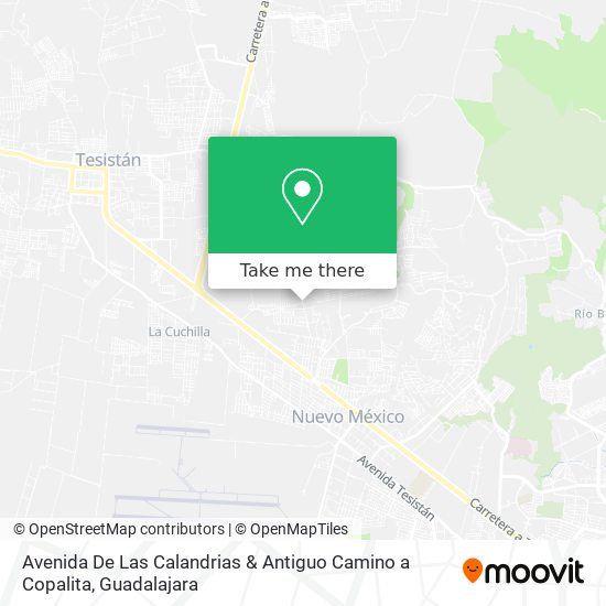 Avenida De Las Calandrias & Antiguo Camino a Copalita map