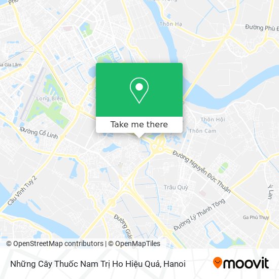 Những Cây Thuốc Nam Trị Ho Hiệu Quả map