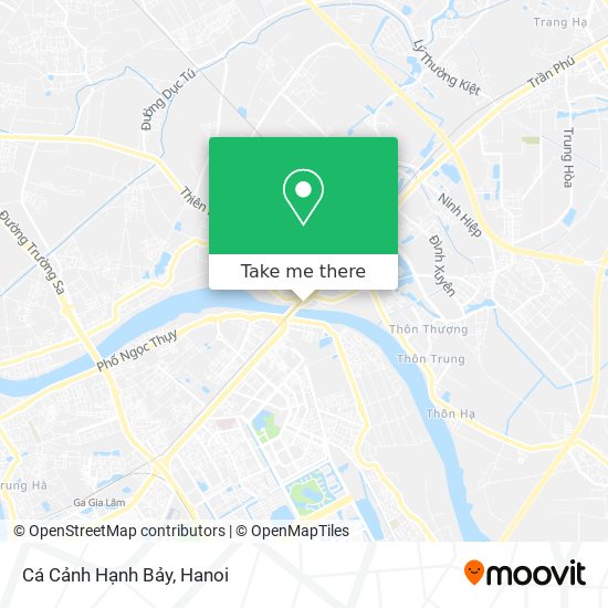 Cá Cảnh Hạnh Bảy map