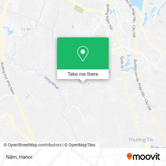 Nấm map