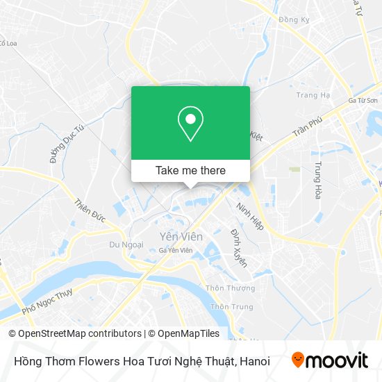 Hồng Thơm Flowers Hoa Tươi Nghệ Thuật map