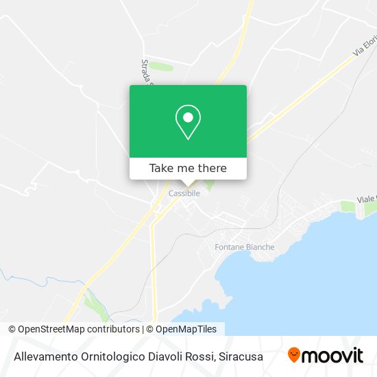 Allevamento Ornitologico Diavoli Rossi map