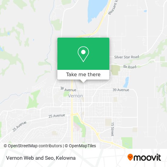 Vernon Web and Seo plan