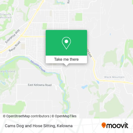 Cams Dog and Hose Sitting map