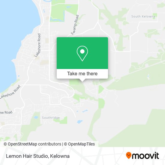 Lemon Hair Studio plan