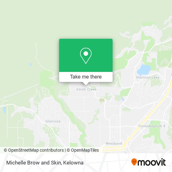 Michelle Brow and Skin plan