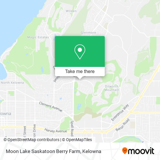 Moon Lake Saskatoon Berry Farm plan