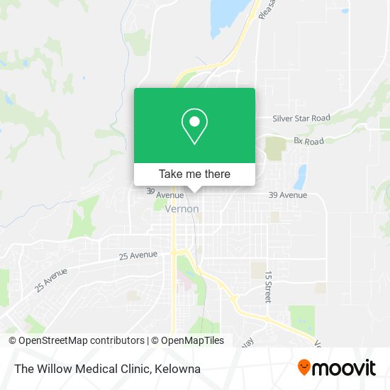 The Willow Medical Clinic map