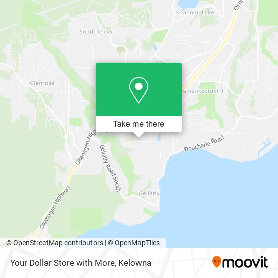 Your Dollar Store with More plan