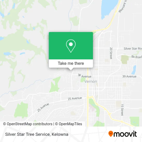 Silver Star Tree Service map