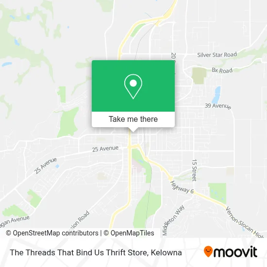 The Threads That Bind Us Thrift Store map