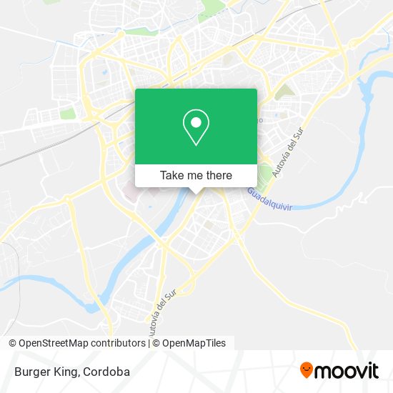 Burger King map