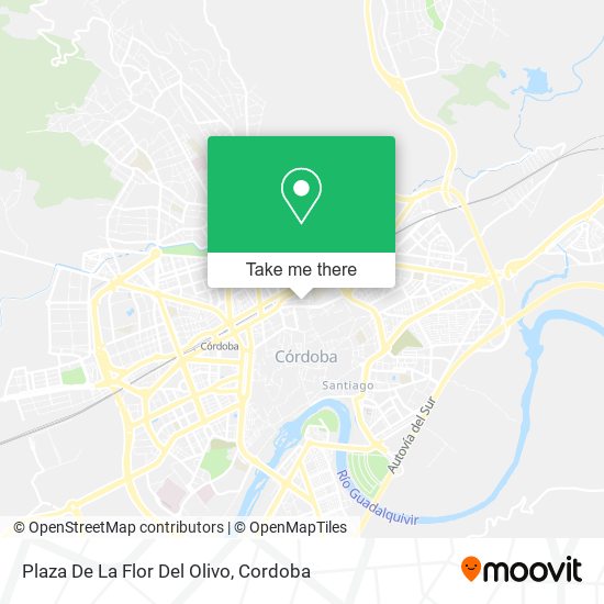 Plaza De La Flor Del Olivo map