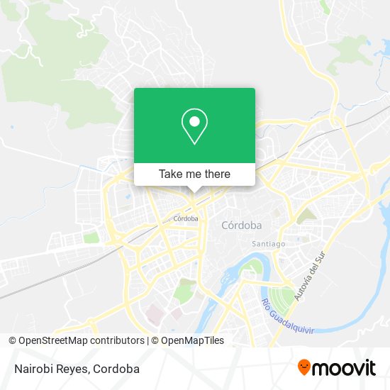 Nairobi Reyes map