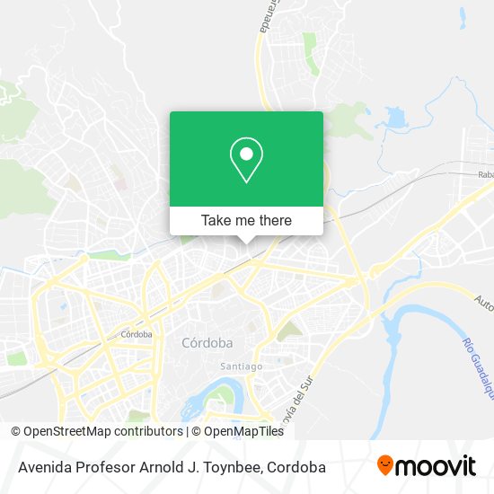 Avenida Profesor Arnold J. Toynbee map