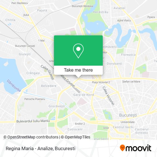 Regina Maria - Analize map