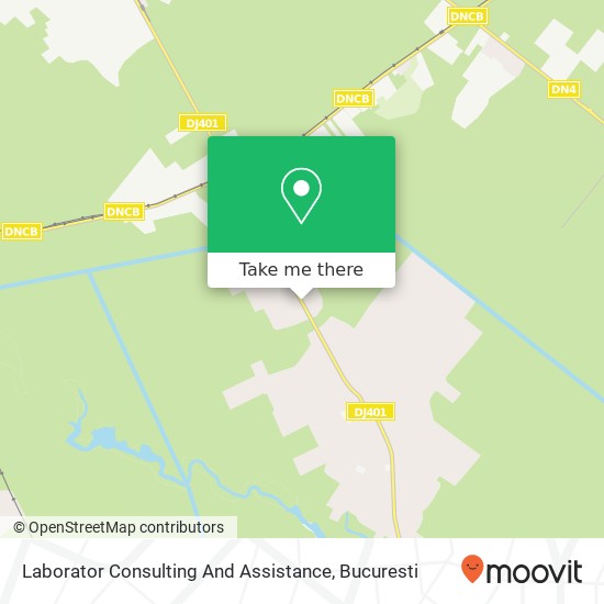 Laborator Consulting And Assistance map