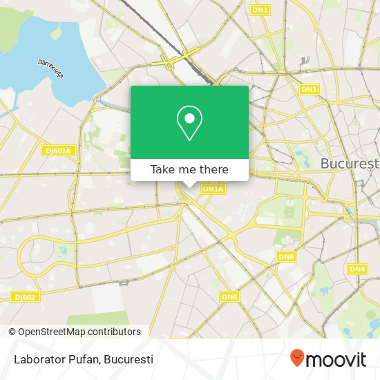 Laborator Pufan map