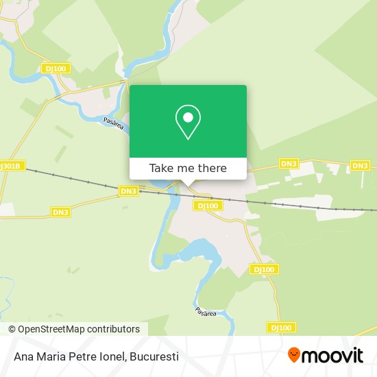 Ana Maria Petre Ionel map