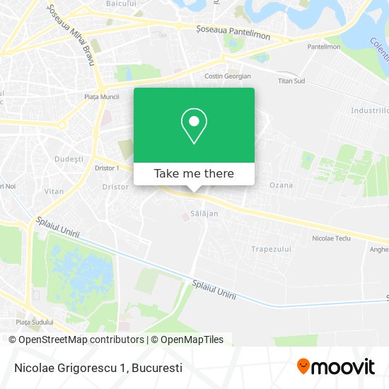 Nicolae Grigorescu 1 map