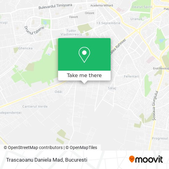 Trascaoanu Daniela Mad map