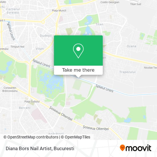 Diana Bors Nail Artist map