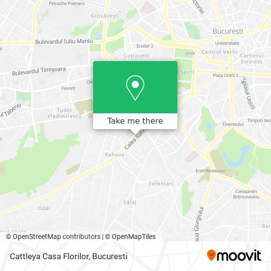 Cattleya Casa Florilor map