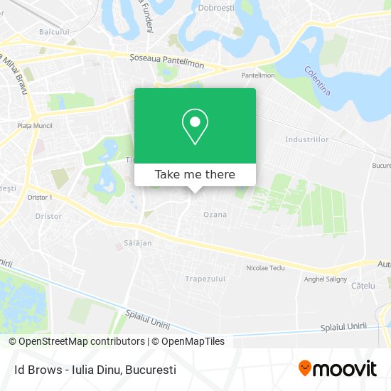 Id Brows - Iulia Dinu map