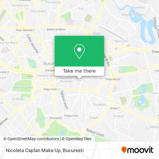Nicoleta Caplan Make Up map
