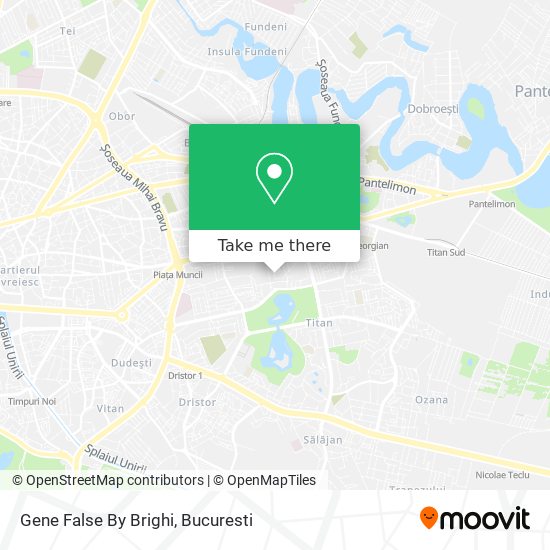Gene False By Brighi map