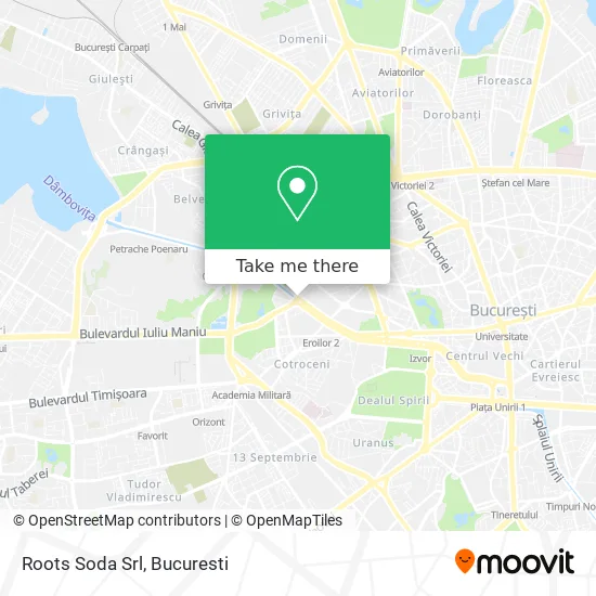 Roots Soda Srl map