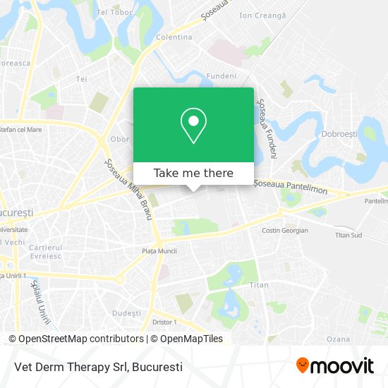 Vet Derm Therapy Srl map