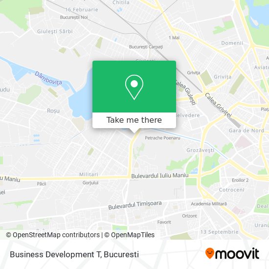 Business Development T map