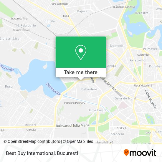 Best Buy International map