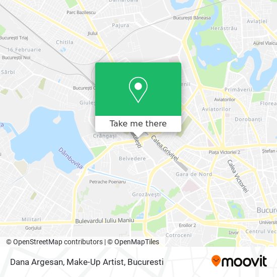 Dana Argesan, Make-Up Artist map